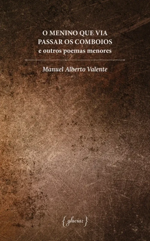 o_menino_que_via_passar_os_comboios